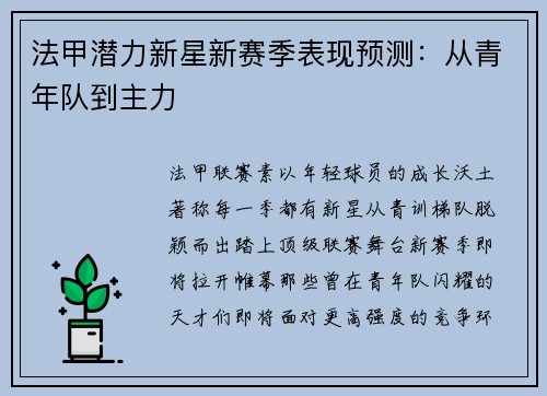 法甲潜力新星新赛季表现预测：从青年队到主力